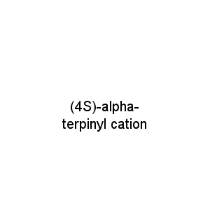 (4S)-alpha-terpinyl cation